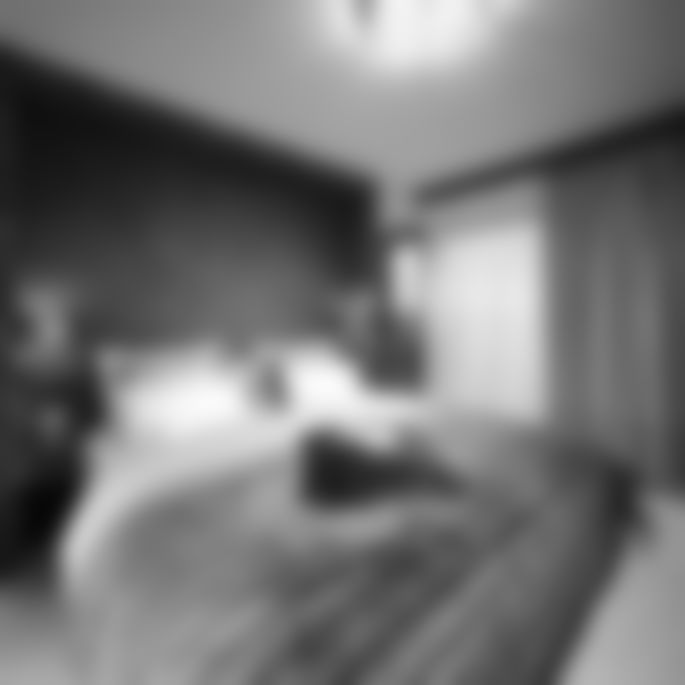 Hotel Fire & Ice Suite