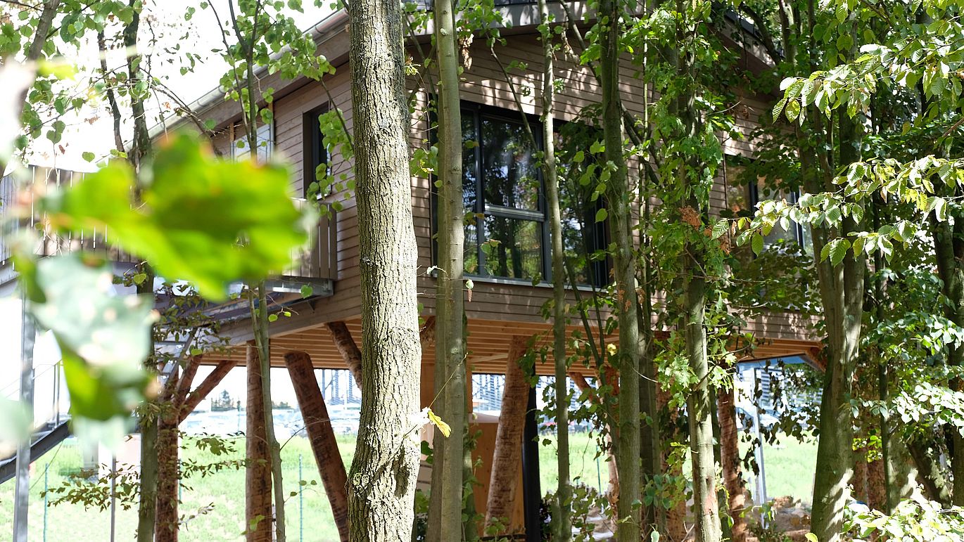 BaumChalet mitten im Wald