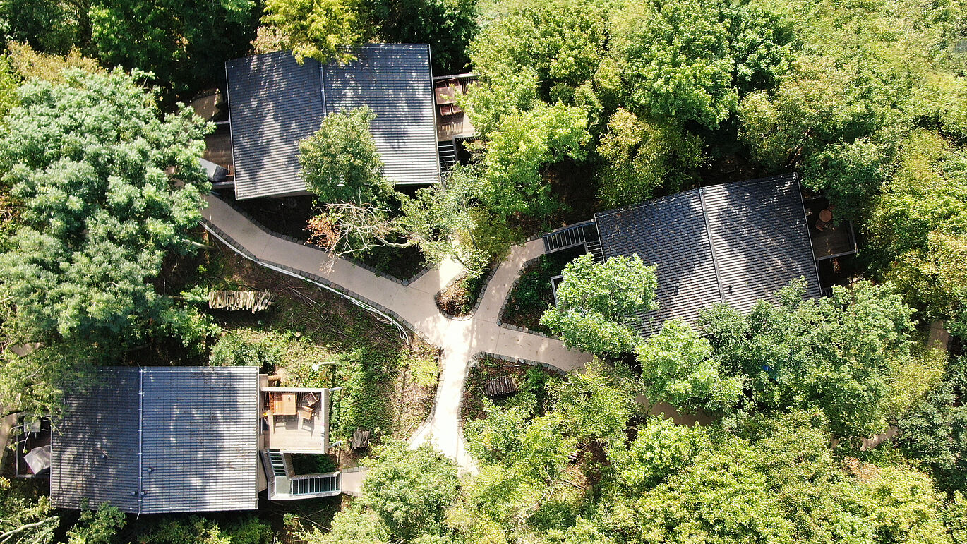 BaumChalets Drohnenaufnahme